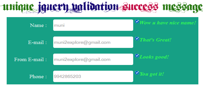 Unique jQuery Validation Success Message Using jQuery Validation Plugin