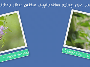 Demo Facebook Like Button Application