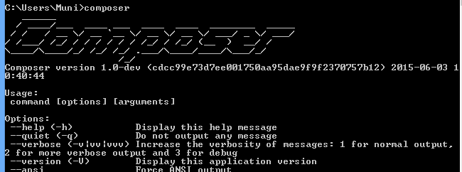 Composer Installation